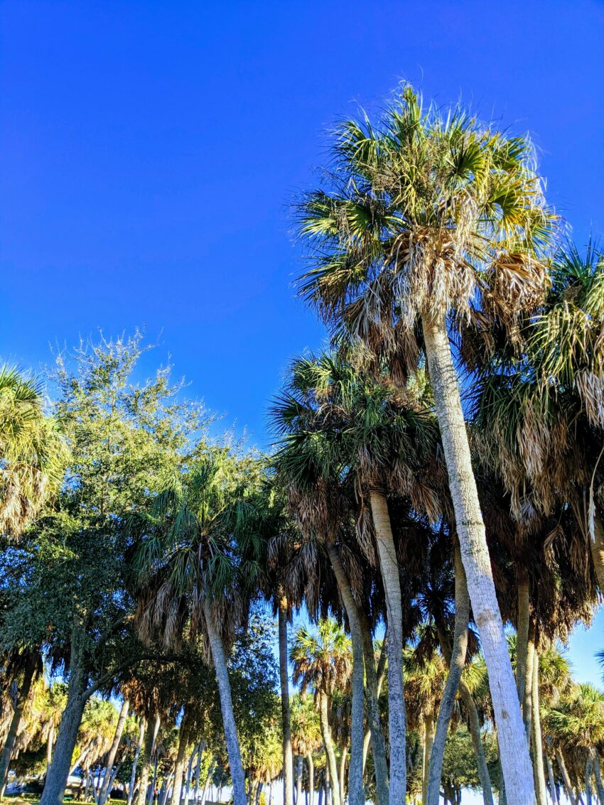 dry-season-in-Florida