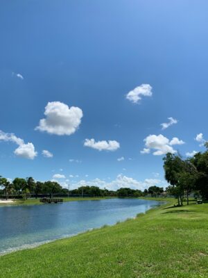 Spring in Florida: Preparing Your Home for Pollen, Dust, and Mold