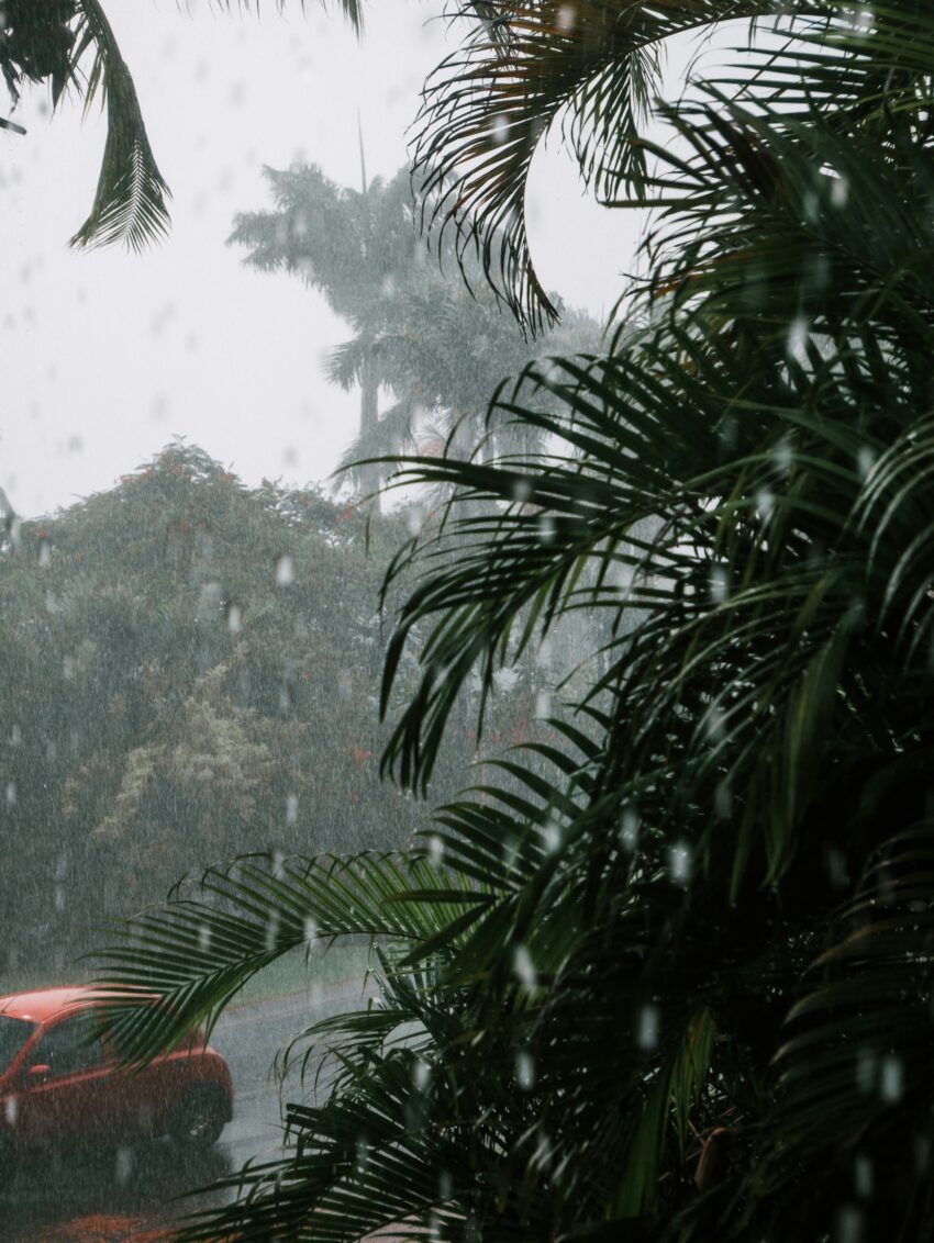 Rainy Season in Florida